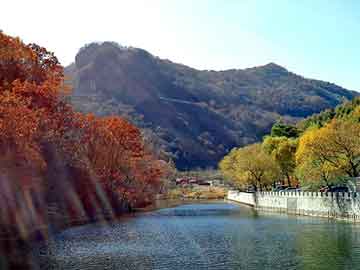 管家婆黑白马报图库，站群域名